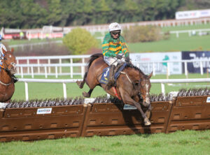 FV1E4738 Davy Crockett