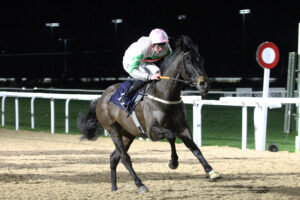 FV1E8986 Cargin Bhui