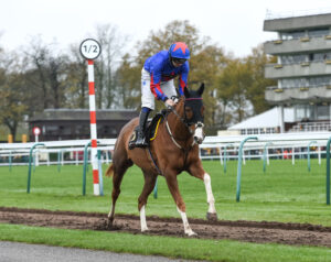 The Egyptian Ginge 2