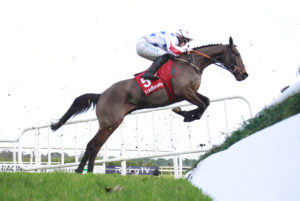 X5B2213 Western Fold