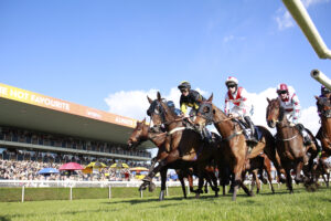 X5B4898 Midlands National runners