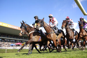 X5B4899 Midlands National runners