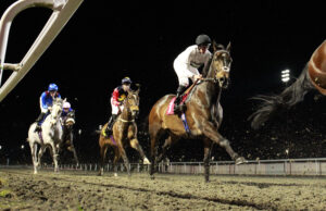 X5B5536 Constitution Hill