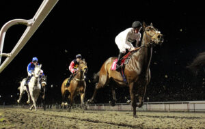 X5B5537 Constitution Hill