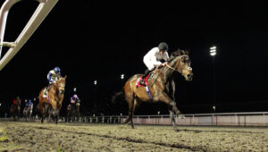 X5B5573 Constitution Hill