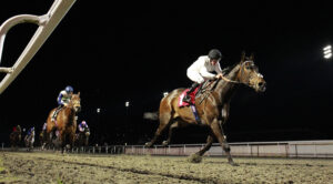 X5B5574 Constitution Hill