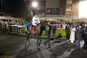 X5B5603 Constitution Hill