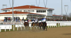 16B5119 Chelmsford City