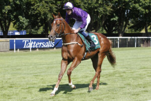 20J0292 Billecart