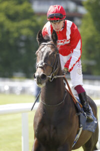 20J3461 Berkshire Whisper