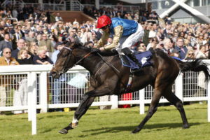 20J9474 Exclusive Code