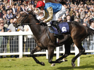 20J9477 Exclusive Code