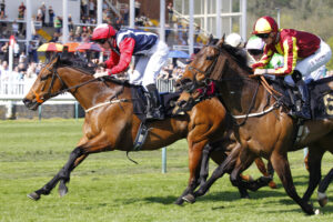 78F0222 Glory Fighter