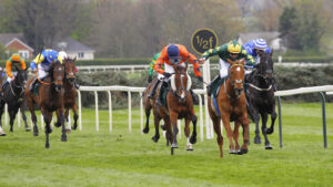 78F0608 Will The Wise