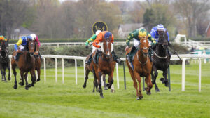 78F0612 Will The Wise