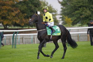 78F1274 Boiling Point