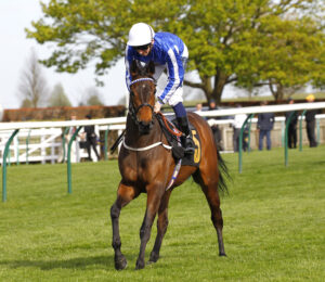 78F1750 Darn Hot Gallop