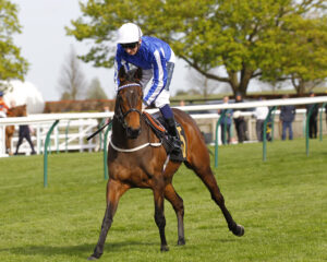 78F1751 Darn Hot Gallop