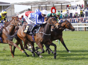 78F1810 Darn Hot Gallop