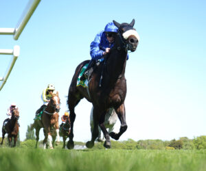 BK1A1637 Opera Ballo