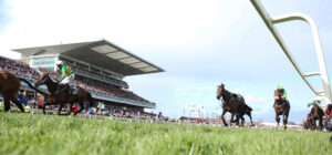 BK1A9690 I Am Maximus