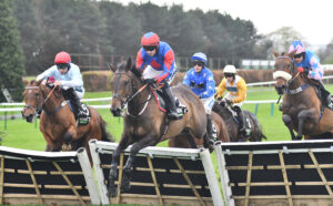 DSC 0033 Dream Shadow