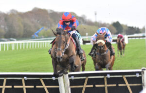 DSC 0044 Dream Shadow