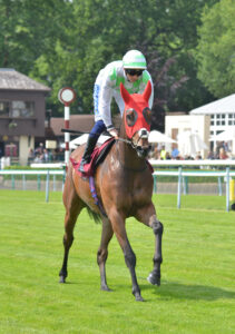 DSC 0077 The Good Biscuit