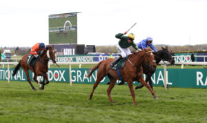 FU0E0274 Will The Wise