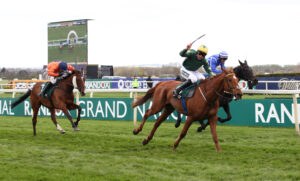 FU0E0275 Will The Wise