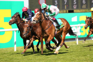 FU0E1765 Laureate Crown