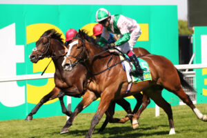 FU0E1767 Laureate Crown