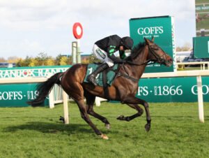 FU0E9853 Nan’s Choice