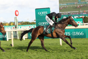 FU0E9854 Nan’s Choice