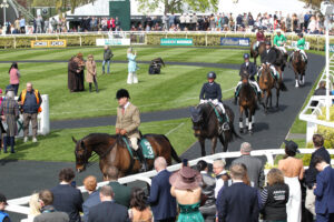 FU0E9923 ROR Retired Racehorse Parade