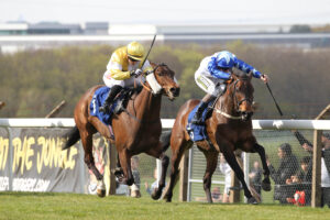 FV1E0754 Sailthisshipalone