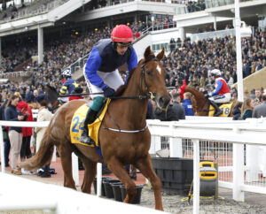 20J0928 Galileo Dame
