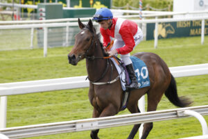 20J1158 Princesse D’Orange