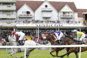 20J2042 Haydock Stands