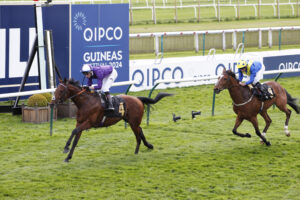 20J7649 Maxi King