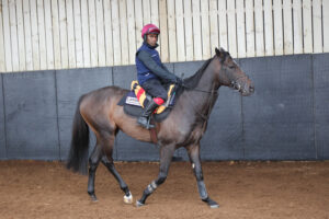 EN4D9000 Lambourn