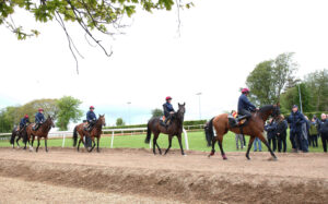 EN4D9018 Aidan O’Brien string