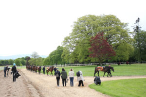 EN4D9051 Aidan O’Brien string