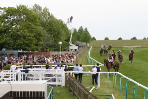 FU0E3376 Horses at Newmarket