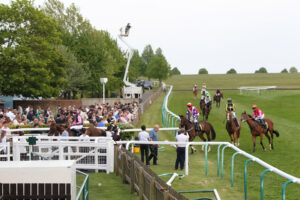 FU0E3379 Horses at Newmarket