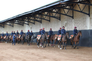 FU0E5932 Aidan O’Brien string