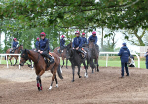 FU0E6261 Aidan O’Brien