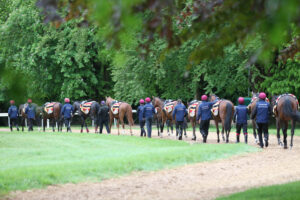 FU0E6277 Aidan O’Brien string