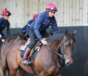 FU0E6451 True Love