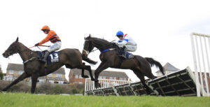 16B2563 Maggies Boy